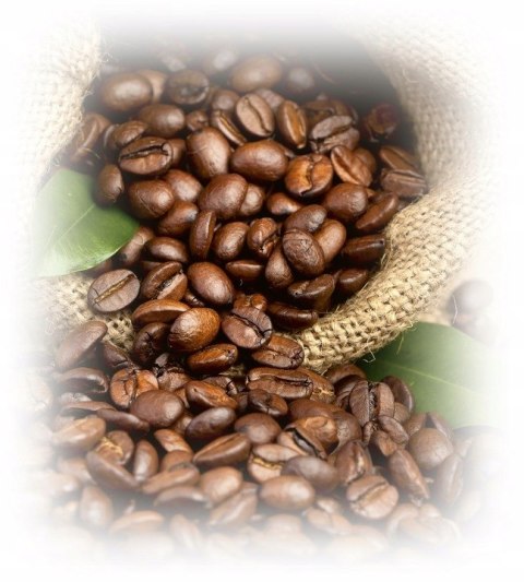 Kawa ziarnista Robusta Lavazza Expert Gusto Forte 1000 g