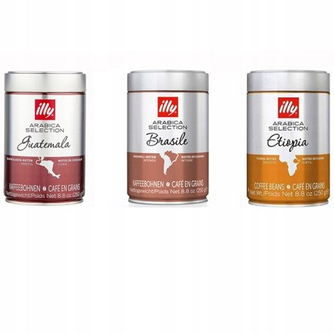 Kawa ziarnista Arabica illy Arabica Selection Guatemala 250 g