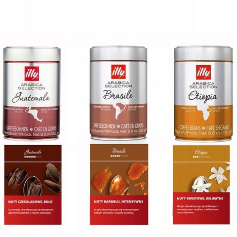 Kawa ziarnista Arabica illy Arabica Selection Guatemala 250 g
