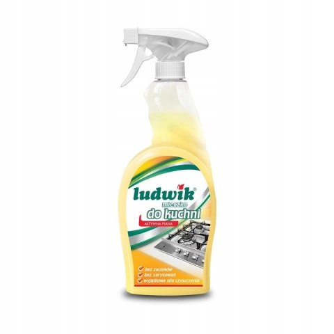 LUDWIK Mleczko do czyszczenia kuchni 750 ml LUDWIK Mleczko do czyszczenia kuchni 750 ml